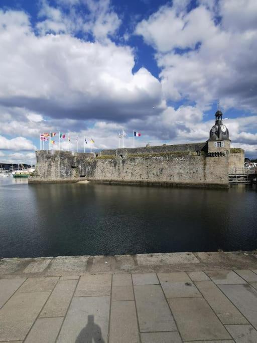 Cocoon - Centre * Concarneau